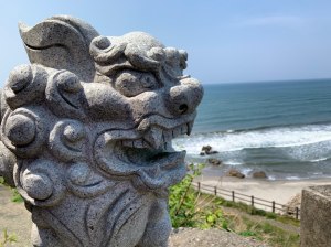 photo_2020-05-02 17.11.30