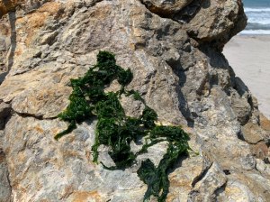 photo_2020-05-02 17.18.58