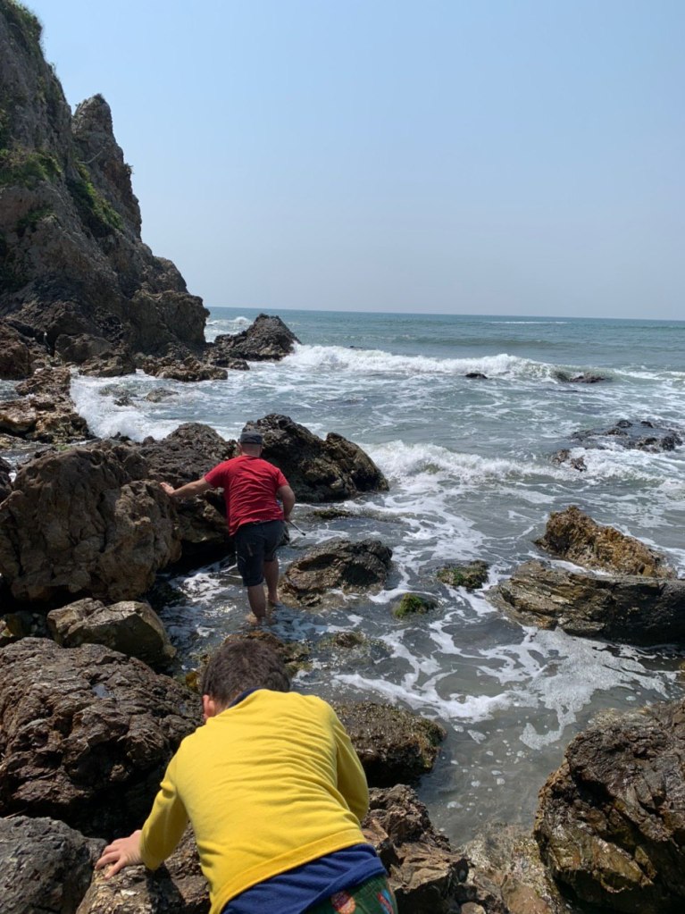 photo_2020-05-02 17.19.06