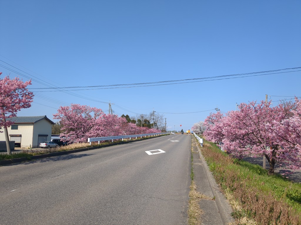 Sakura Cash Run 4 Was a&nbsp;Blast!