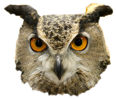 nite owl works – “hitsong”